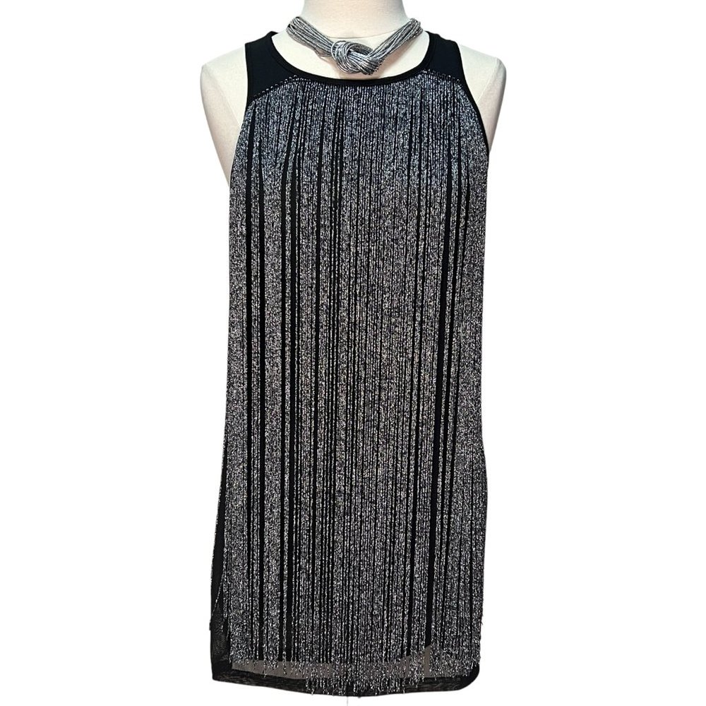 Black and silver fringe minidress